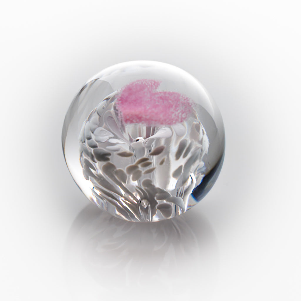 Paperweight Experiences